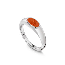 Load image into Gallery viewer, Autumn Amber