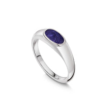 Load image into Gallery viewer, Orchid Purple