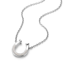 Load image into Gallery viewer, Horseshoe Ashes Resin Necklace - Silver