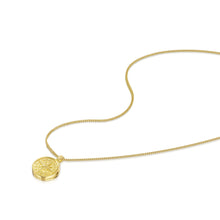 Bild in den Galerie-Viewer laden: Herren-Kompass-Medaillon – Gold