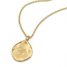 Load image into Gallery viewer, Large Organic Round Initial Necklace - Gold