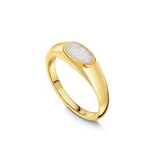 Load image into Gallery viewer, White Snow