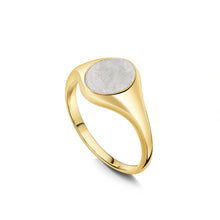 Load image into Gallery viewer, White Snow