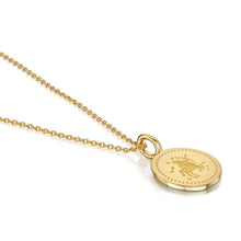 Load image into Gallery viewer, Zodiac Icon Necklace – Gold