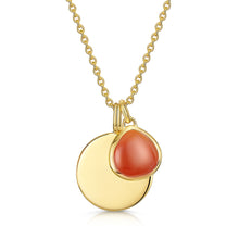 Load image into Gallery viewer, Birthstone Coin Necklace – Gold
