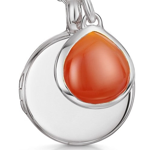 Sardonyx Gemstone - Silver