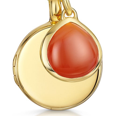 Sardonyx Gemstone - Gold