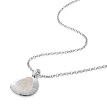 Load image into Gallery viewer, White Snow 
