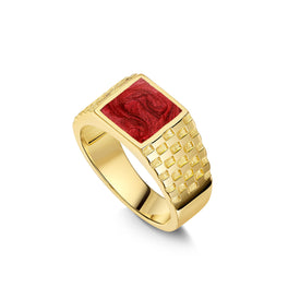 Chequed Square Signet Ashes Resin Ring - Gold