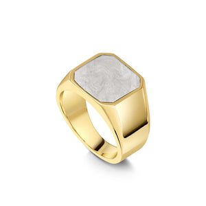 Men's Octagonal Signet Ashes Resin Ring - Gold